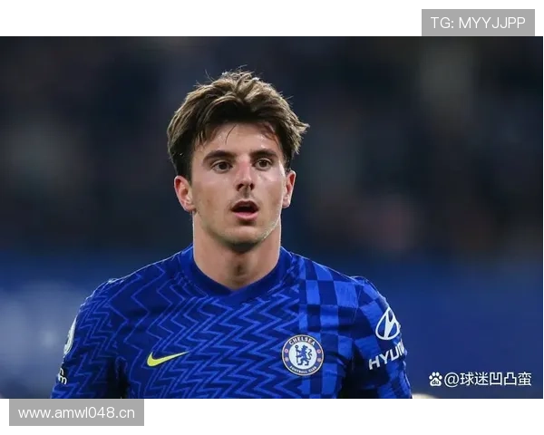 从新星到核心中场：恩佐的荣誉与成长