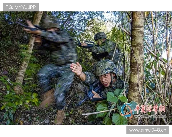 巴尔科拉是否依赖体系?战术角色与自主进攻能力分析