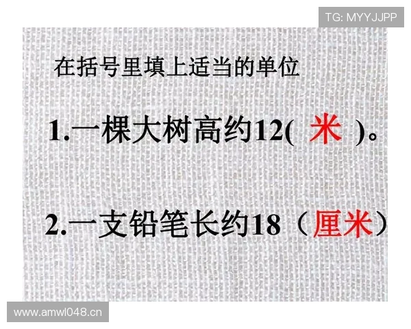 篮球比赛中球权判定的核心规则与争议判罚解析